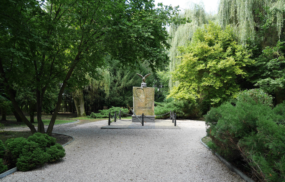 Arboretum w Czarncy
